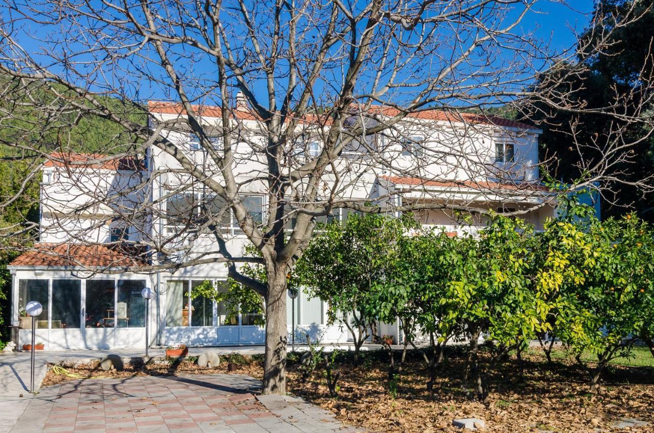 Apartments With A Parking Space Zuljana, Peljesac - 4574 Žuljana Exterior foto